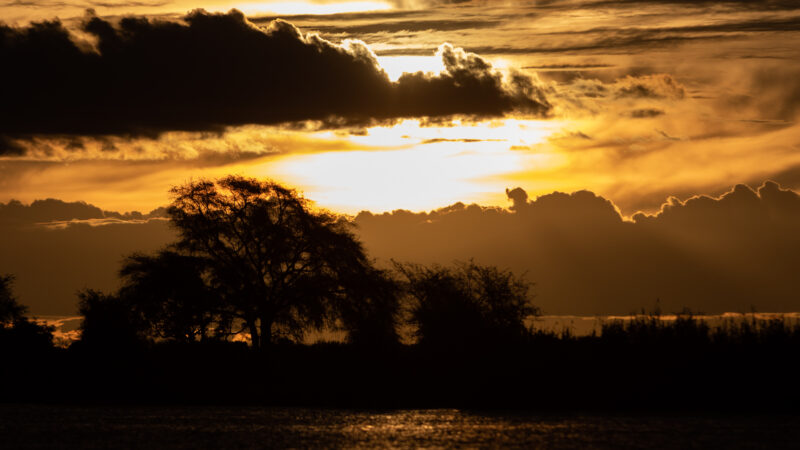 Chobe National Park